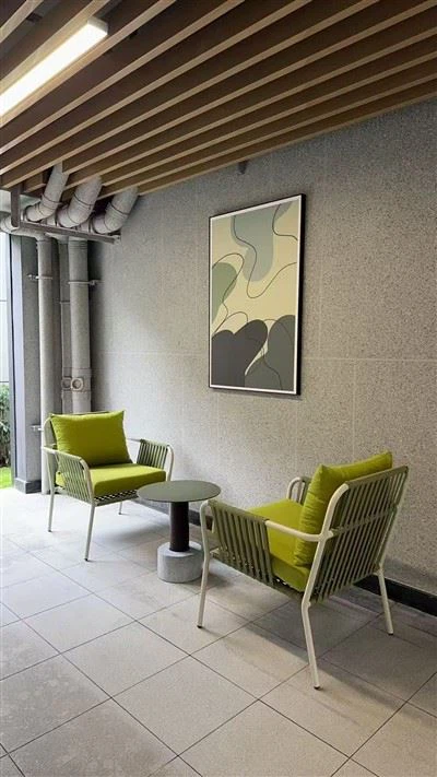 صالة حديثة كرسي بذراعين